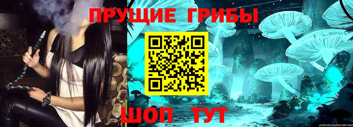 Брянск  Галлюциногенные грибы Magic Shrooms  Вход с VPN 