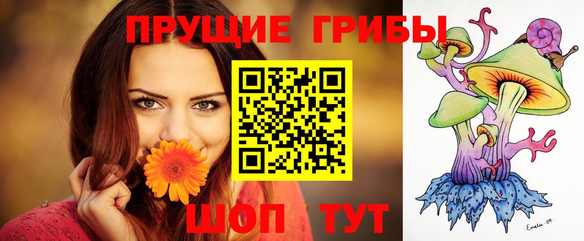 Галлюциногенные грибы Psilocybine cubensis Брянск